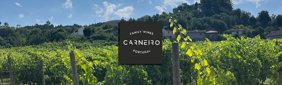 Carneiro Family Wines