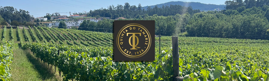 Quinta do Tamariz