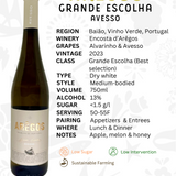 Encosta d'Arêgos 'Arêgos' Grande Escolha Avesso White 2023 - The Vinho