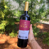 Epordouro 'Portas do Solar' Colheita Red Blend 2021 - The Vinho