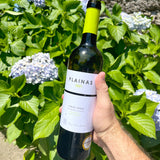 Casa Santa Eulália 'Plainas' Azal & Arinto White 2024 - The Vinho