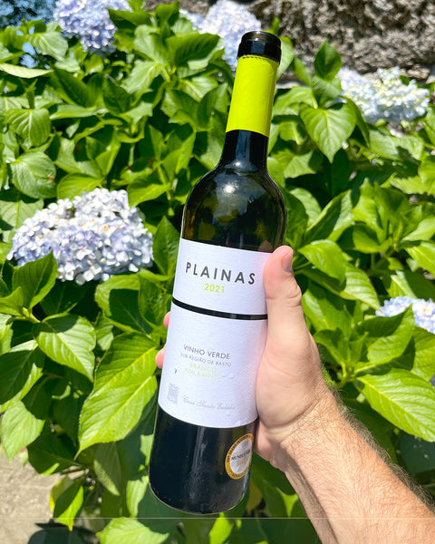 Casa Santa Eulália 'Plainas' Azal & Arinto White 2024 - The Vinho