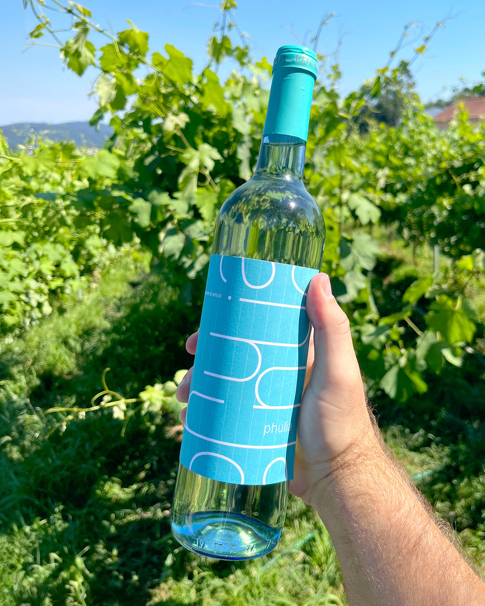 Phulia 'Sensation' White Blend 2023 - The Vinho