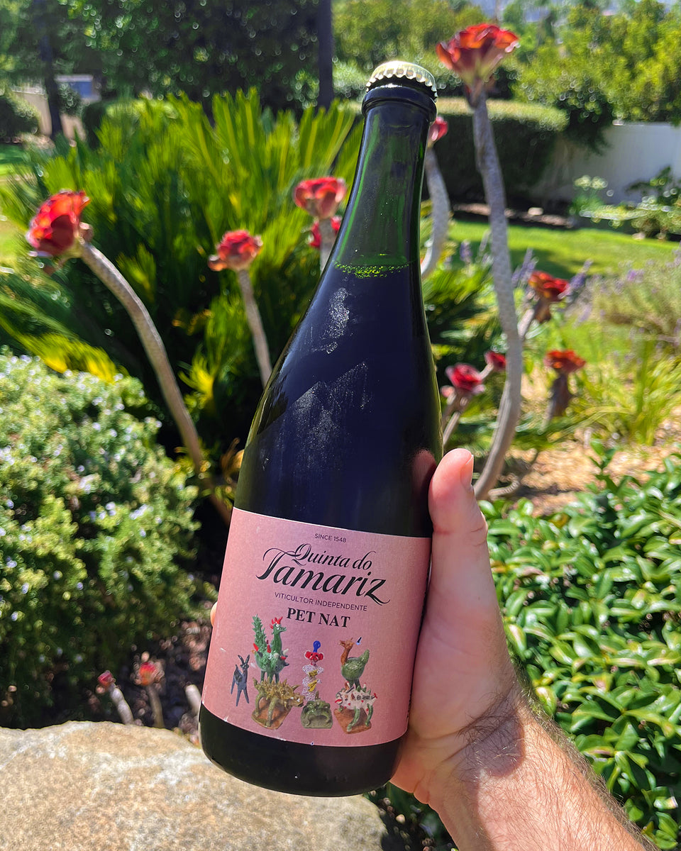Quinta do Tamariz Pét-Nat Touriga Nacional Rosé 2022 - The Vinho