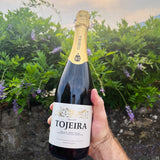 Casa da Tojeira 'Tojeira' Sparkling Brut Reserve Red 2022 - The Vinho
