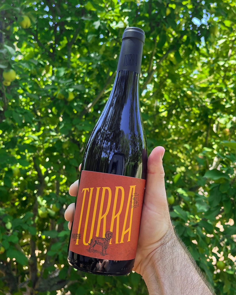 Turra Vinhão Red 2021 - The Vinho