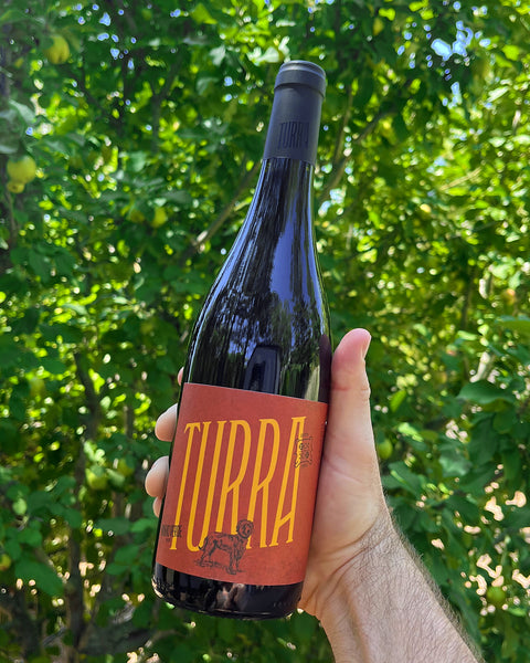 Turra Vinhão Red 2021 - The Vinho