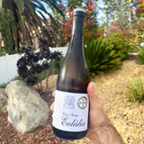 Casa Santa Eulália Alvarinho & Trajadura White 2021 - The Green Wine