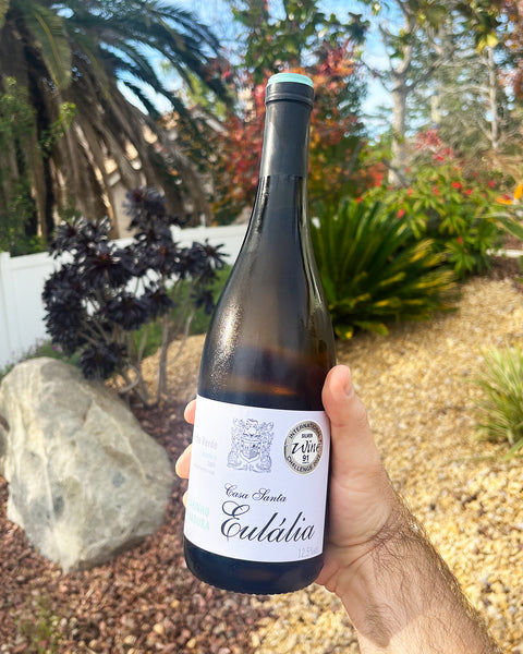 Casa Santa Eulália Alvarinho & Trajadura White 2021 - The Green Wine