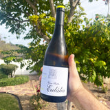 Casa Santa Eulália Avesso White 2021 - The Green Wine
