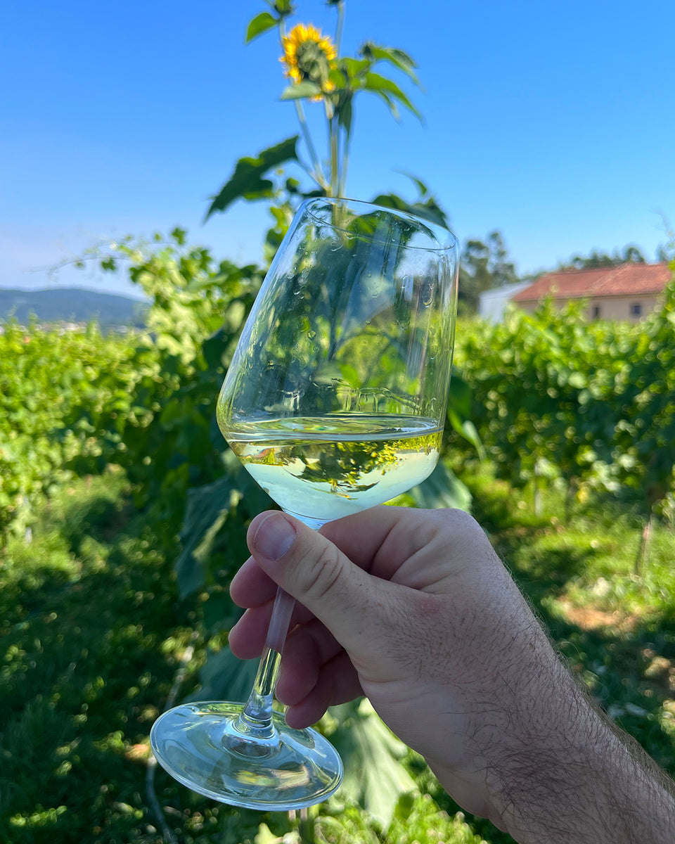 Phulia 'Mal Acabado' Pét-Nat Loureiro White 2021 - TheGreenWine
