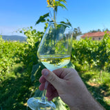 Phulia 'Mal Acabado' Pét-Nat Loureiro White 2021 - TheGreenWine