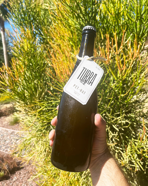 Turra Pét-Nat White 2021 - TheGreenWine