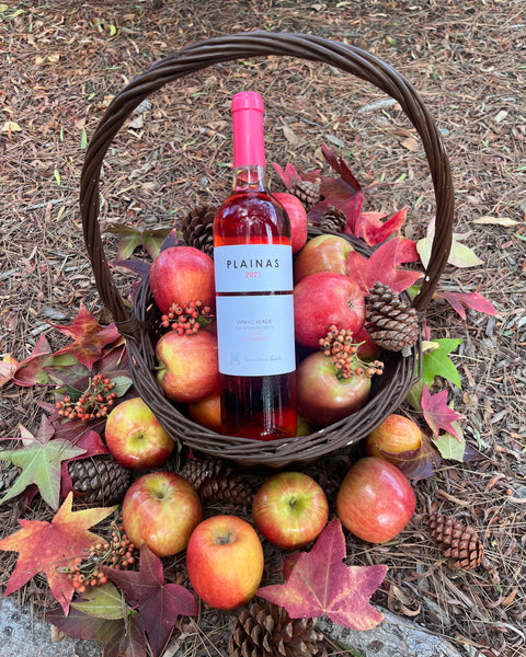 Casa Santa Eulália 'Plainas' Espadeiro Rosé 2021 - The Green Wine