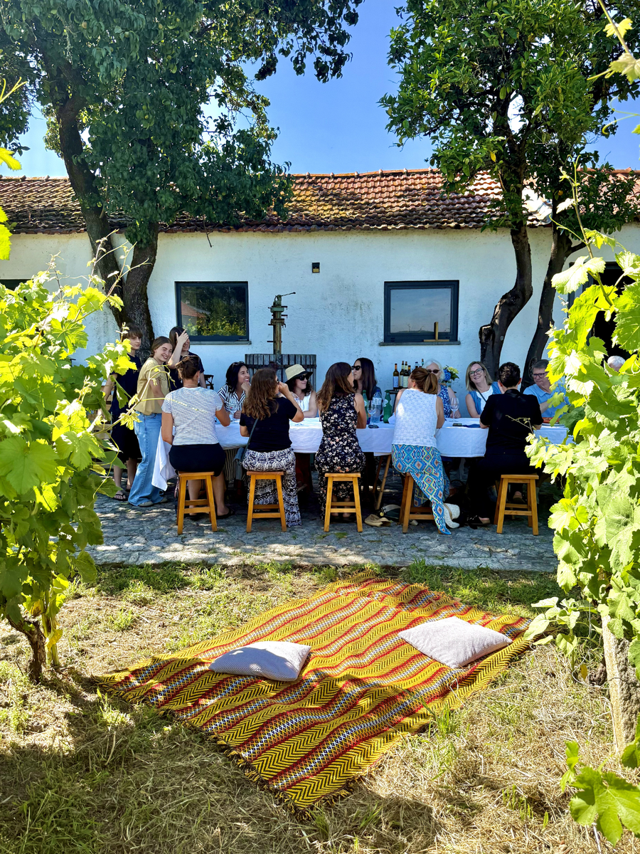 7-Day Guided Wine Tour of Northern Portugal 2027