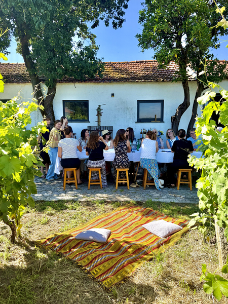 7-Day Guided Wine Tour of Northern Portugal 2027