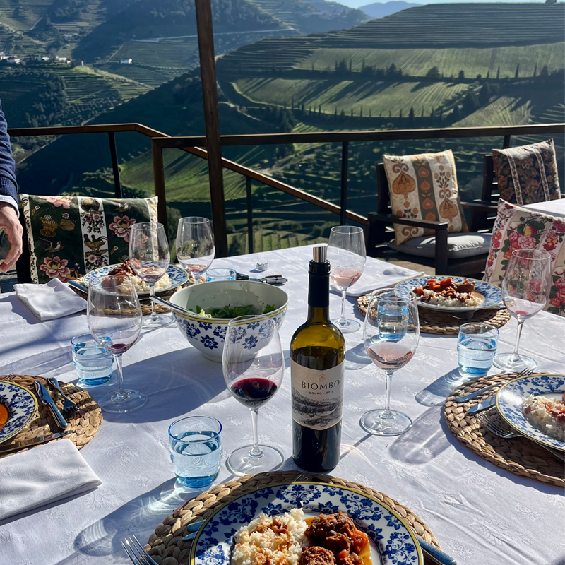 7-Day Guided Tour of Northern Portugal - The Vinho