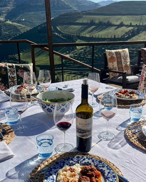 7-Day Guided Tour of Northern Portugal - The Vinho