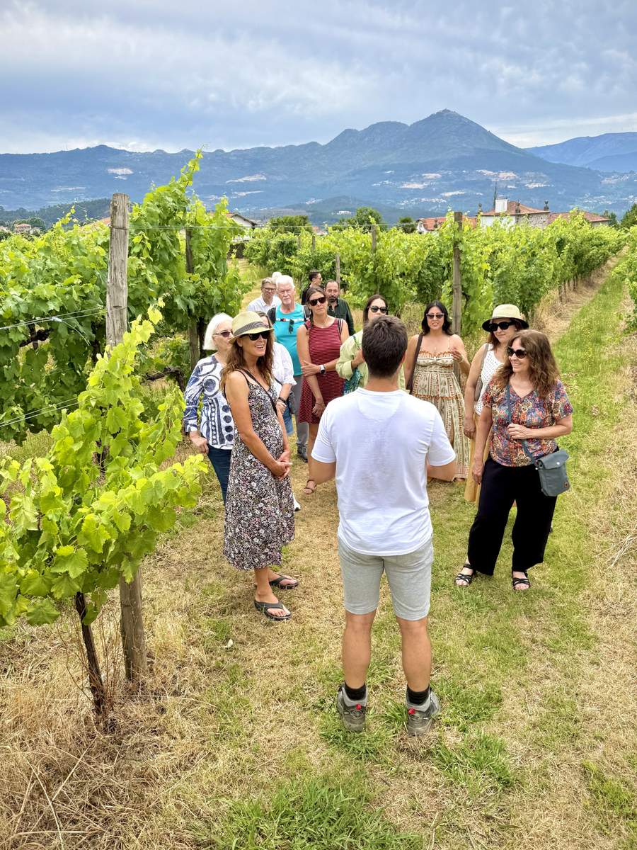 7-Day Guided Wine Tour of Northern Portugal 2027