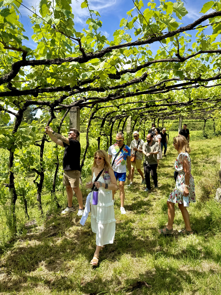 7-Day Guided Wine Tour of Northern Portugal 2027