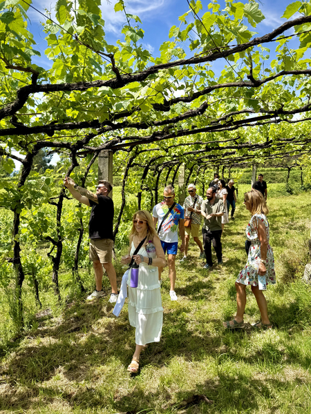 7-Day Guided Wine Tour of Northern Portugal 2027
