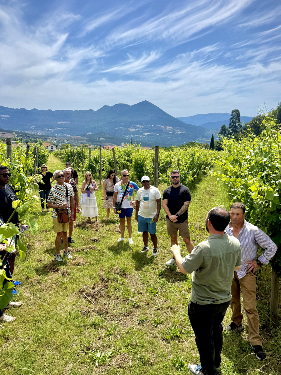 7-Day Guided Wine Tour of Northern Portugal 2027