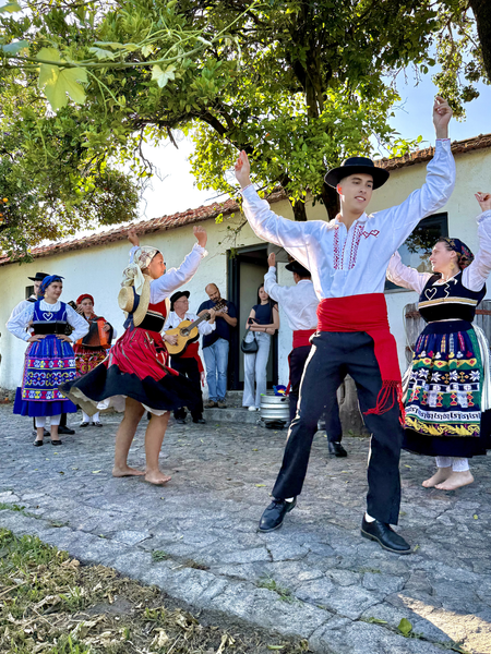 7-Day Guided Wine Tour of Northern Portugal 2027