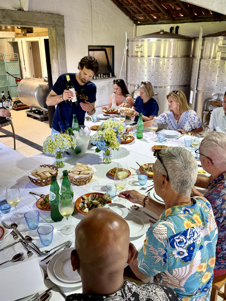 7-Day Guided Wine Tour of Northern Portugal 2027
