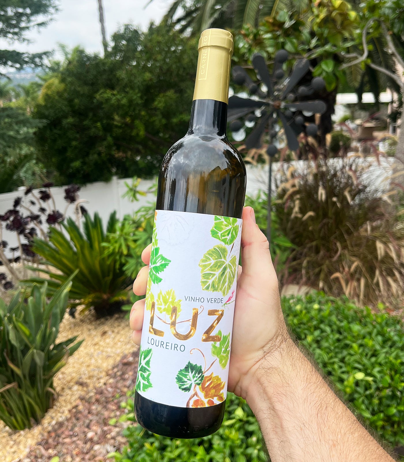ゆ*け様 五粮液39％　ANTINORI BIANCO 　ゲノック　ワイン　松竹 Carneiro 'Luz' Loureiro White 2025 – The Vinho