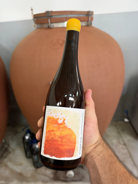 Espera Anfora Alvarinho 2022 - The Vinho