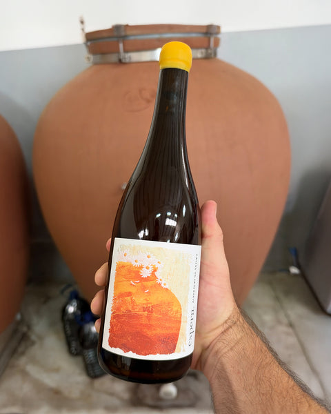 Espera Anfora Alvarinho 2022 - The Vinho