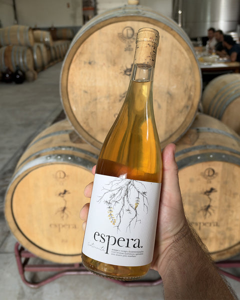 Espera Curtimenta Fernão Pires & Alvarinho 2024 - The Vinho