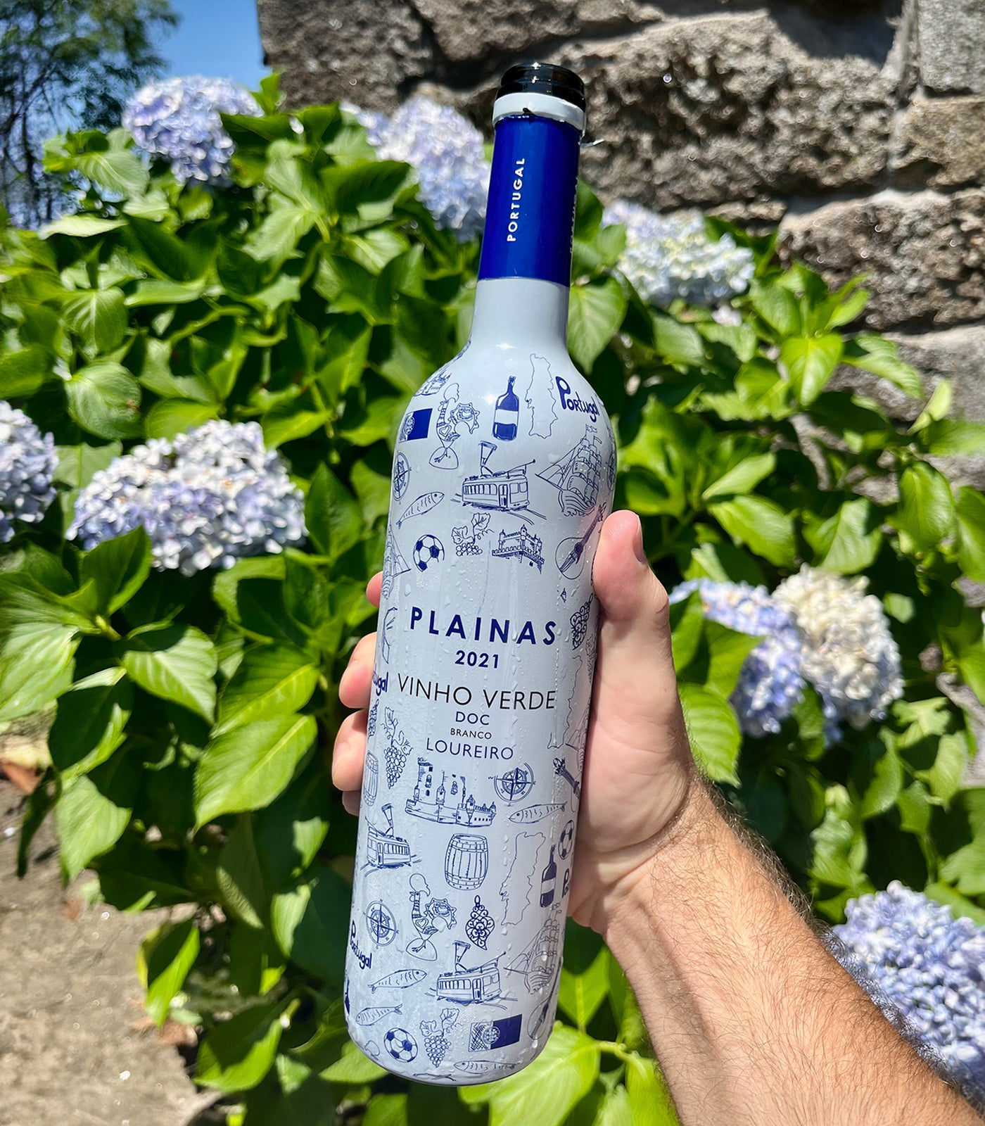 Casa Santa Eulália 'Plainas' Loureiro White 2024 – The Vinho