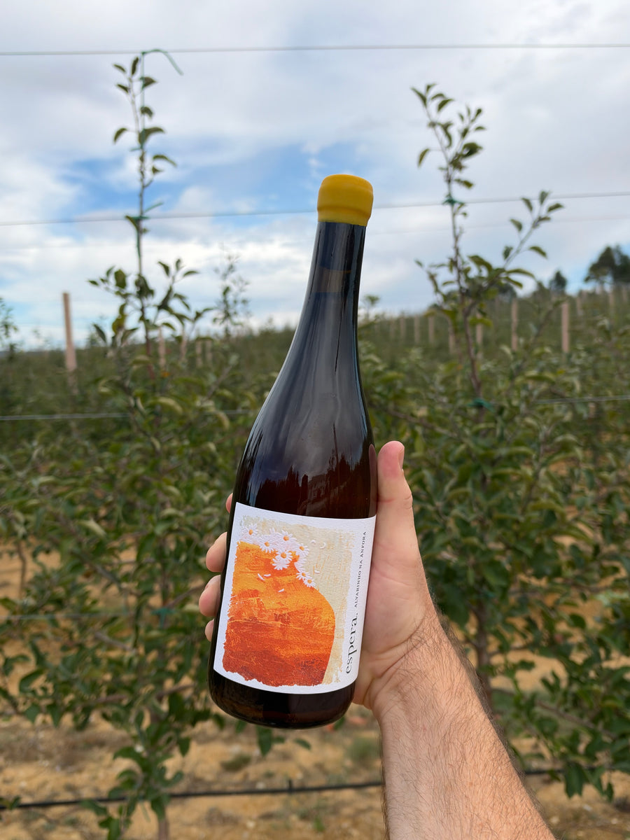 Espera Anfora Alvarinho 2022 - The Vinho
