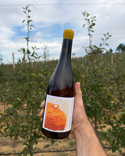 Espera Anfora Alvarinho 2022 - The Vinho