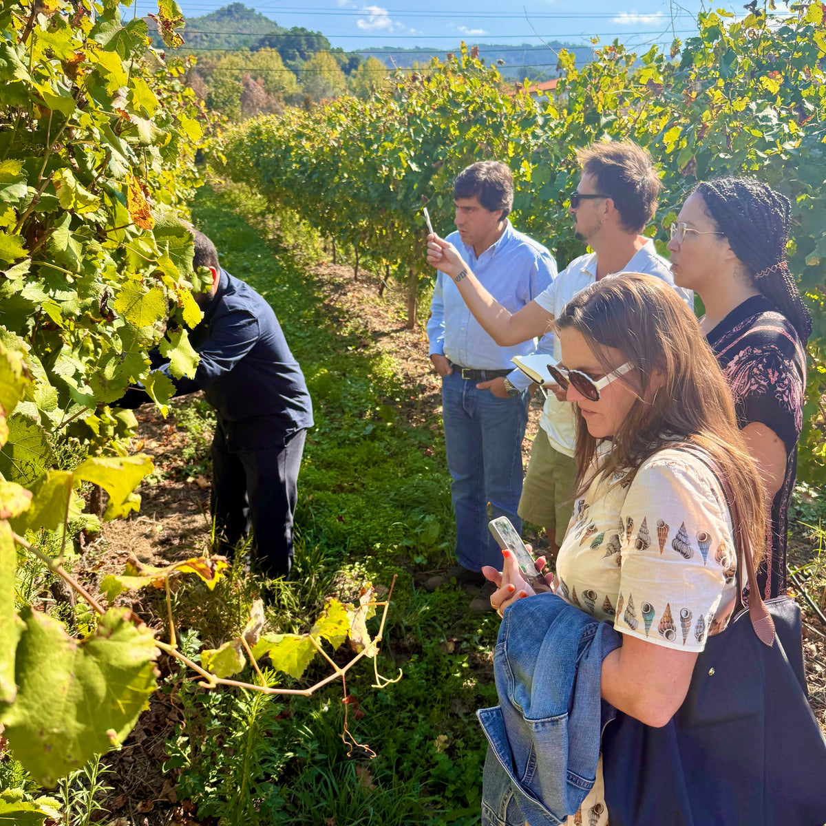 7-Day Guided Tour of Northern Portugal