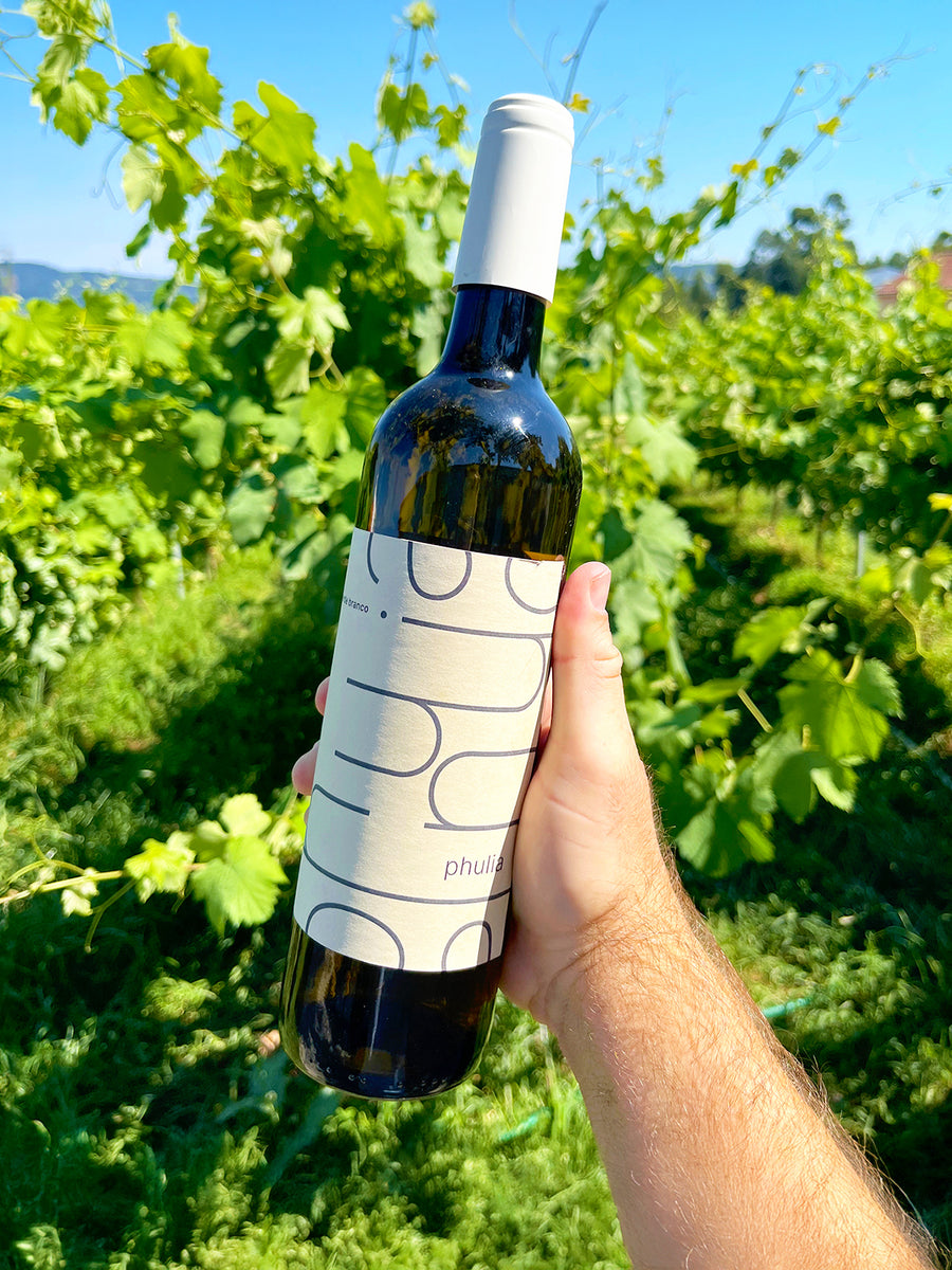 Phulia Loureiro White 2024 - The Vinho