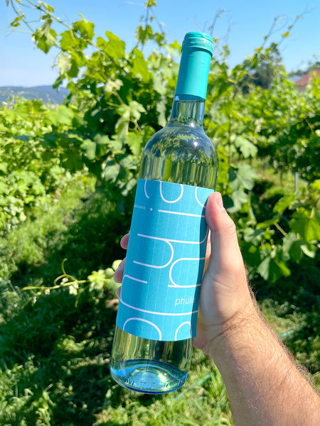 Phulia 'Sensation' White Blend 2023 - The Vinho