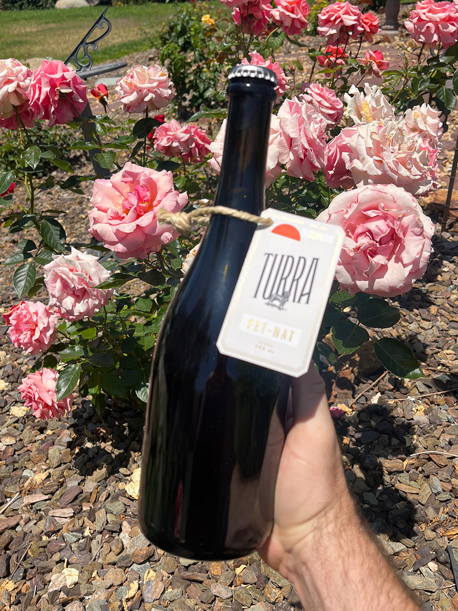 Turra Pét-Nat Rabo de Anho Rosé 2022 - The Vinho