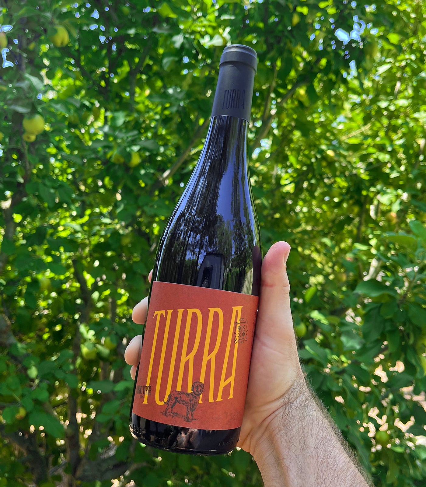 Turra Vinhão Red 2023 – The Vinho