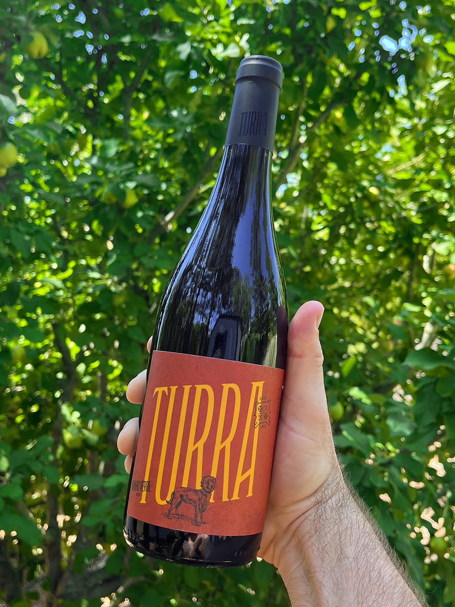 Turra Vinhão Red 2021 - The Vinho