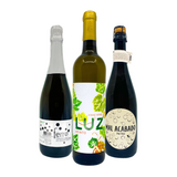 The Women Winemakers 3-Pack Gift Box - The Green Wine