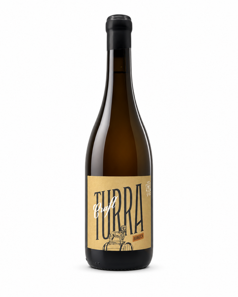 Turra Craft Barrica Alvarinho White 2022 - The Vinho