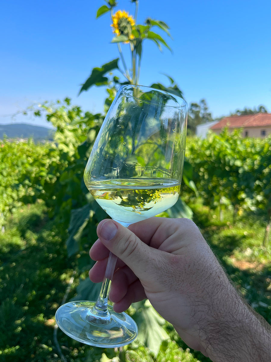 Phulia 'Mal Acabado' Pét-Nat Loureiro White 2021 - TheGreenWine