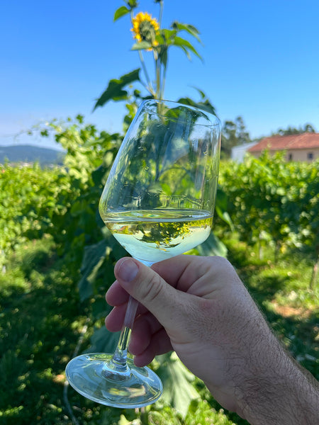 Phulia 'Mal Acabado' Pét-Nat Loureiro White 2021 - TheGreenWine