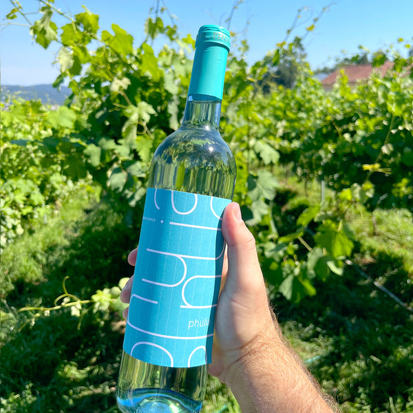 Phulia 'Sensation' White Blend 2021 - TheGreenWine