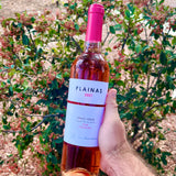 Casa Santa Eulália 'Plainas' Espadeiro Rosé 2021 - The Green Wine