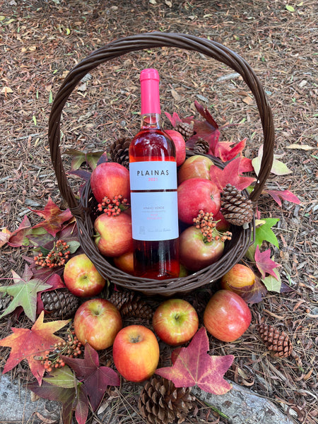Casa Santa Eulália 'Plainas' Espadeiro Rosé 2021 - The Green Wine